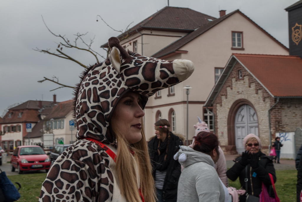 Gernsheim 2018_118.jpg